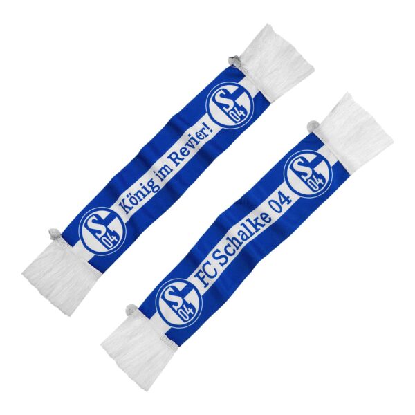 FC Schalke 04 Autoschal