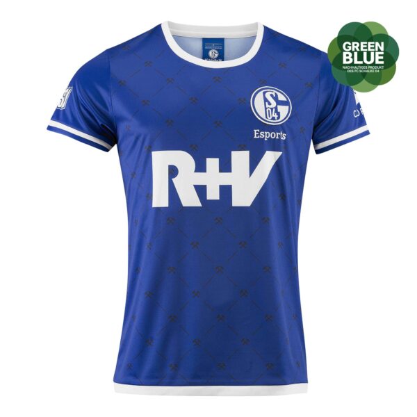 FC Schalke 04 Trikot-Esport