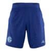 FC Schalke 04 adidas Trainingsshort College blue